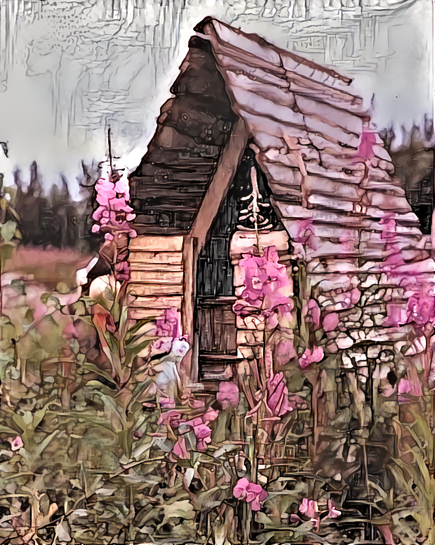 Wasilla Outhouse &amp; Fireweed