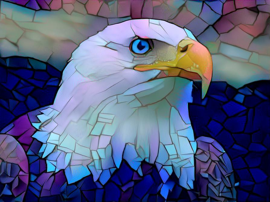 animal project - Eagle absctrat