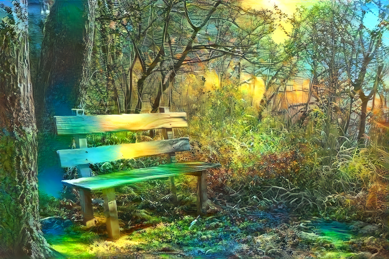 Bench in a wood