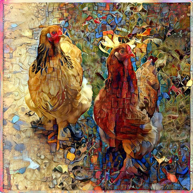 Synchron chickens