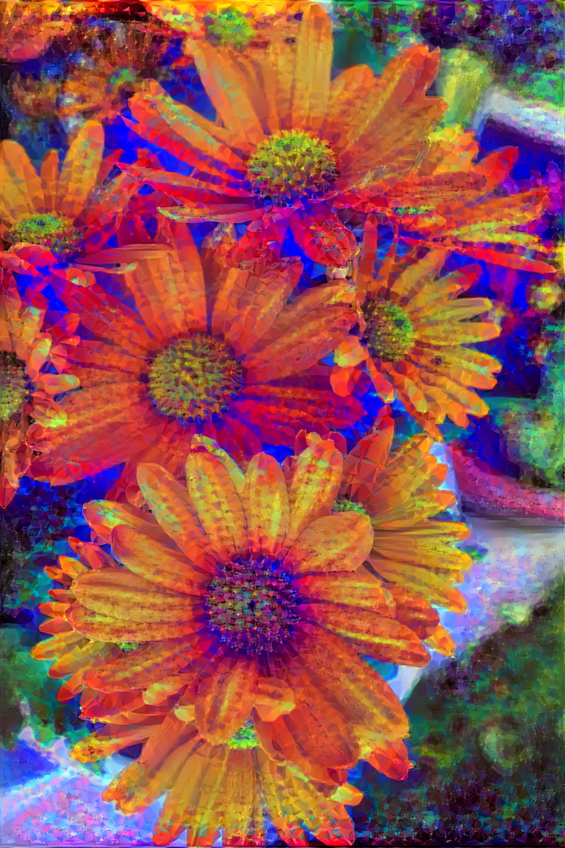 Chrysanthemum 3 psychedelic 12_1