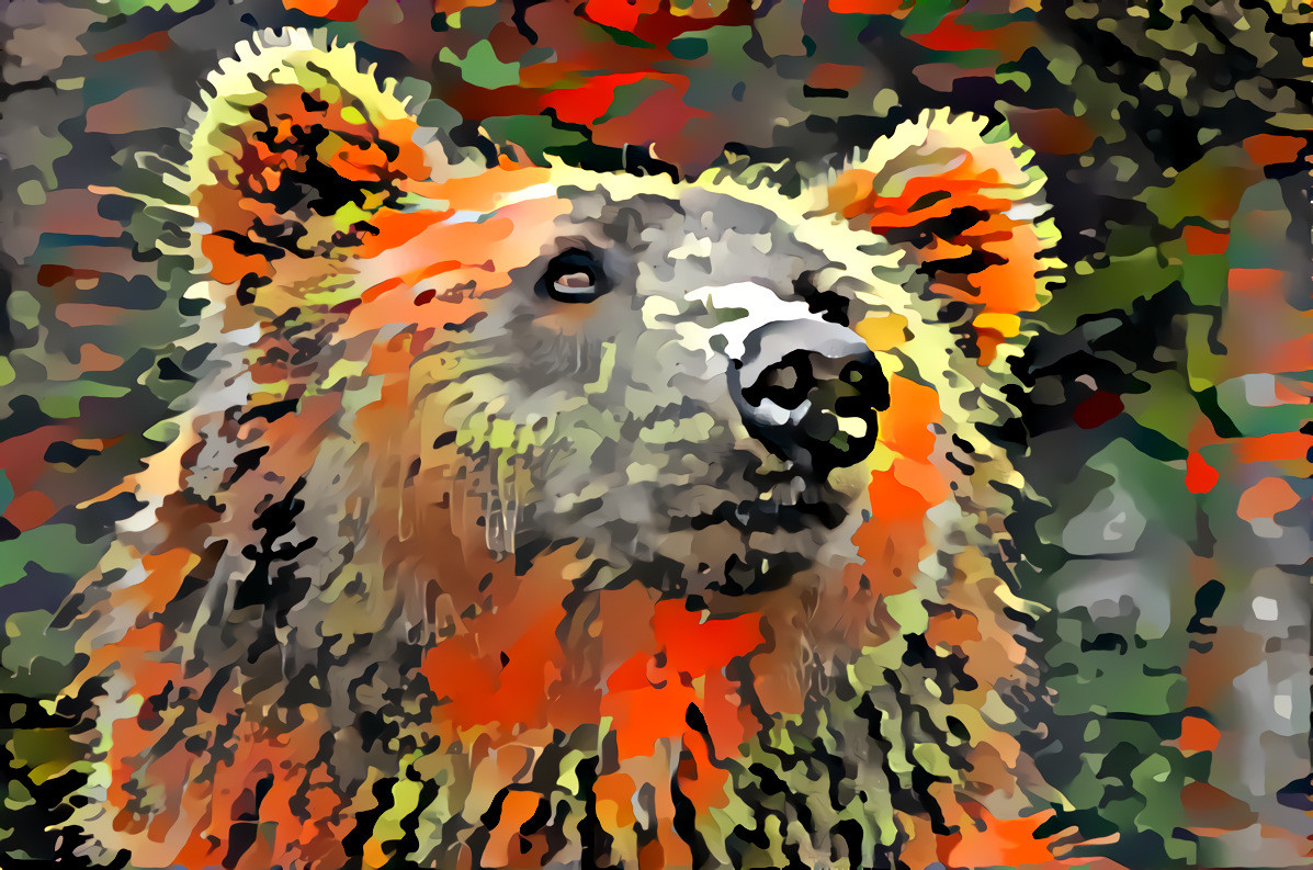 Camouflage Bear