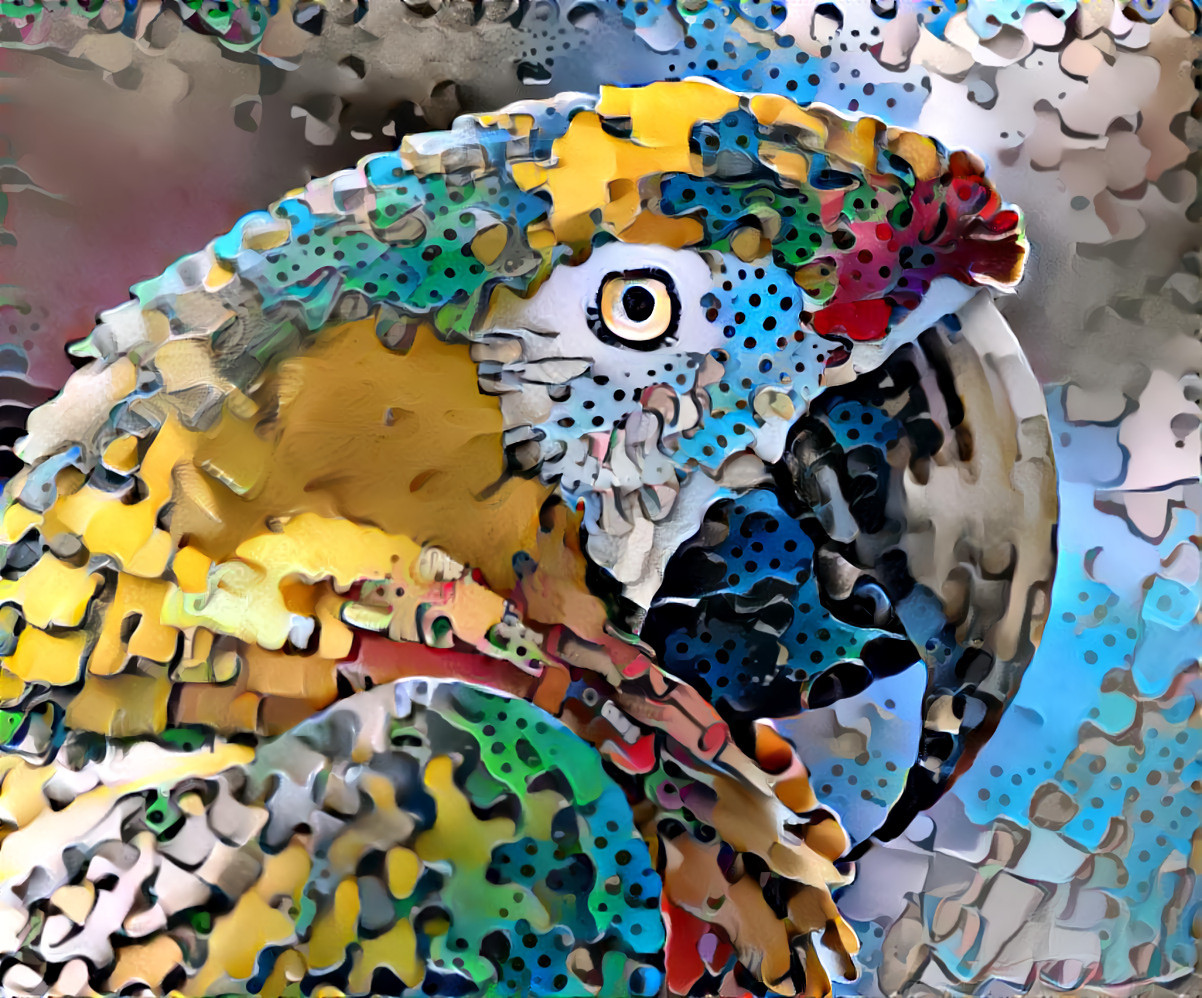 Puzzled Parrot