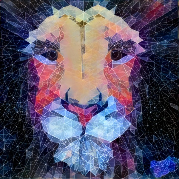 Geometry Lion