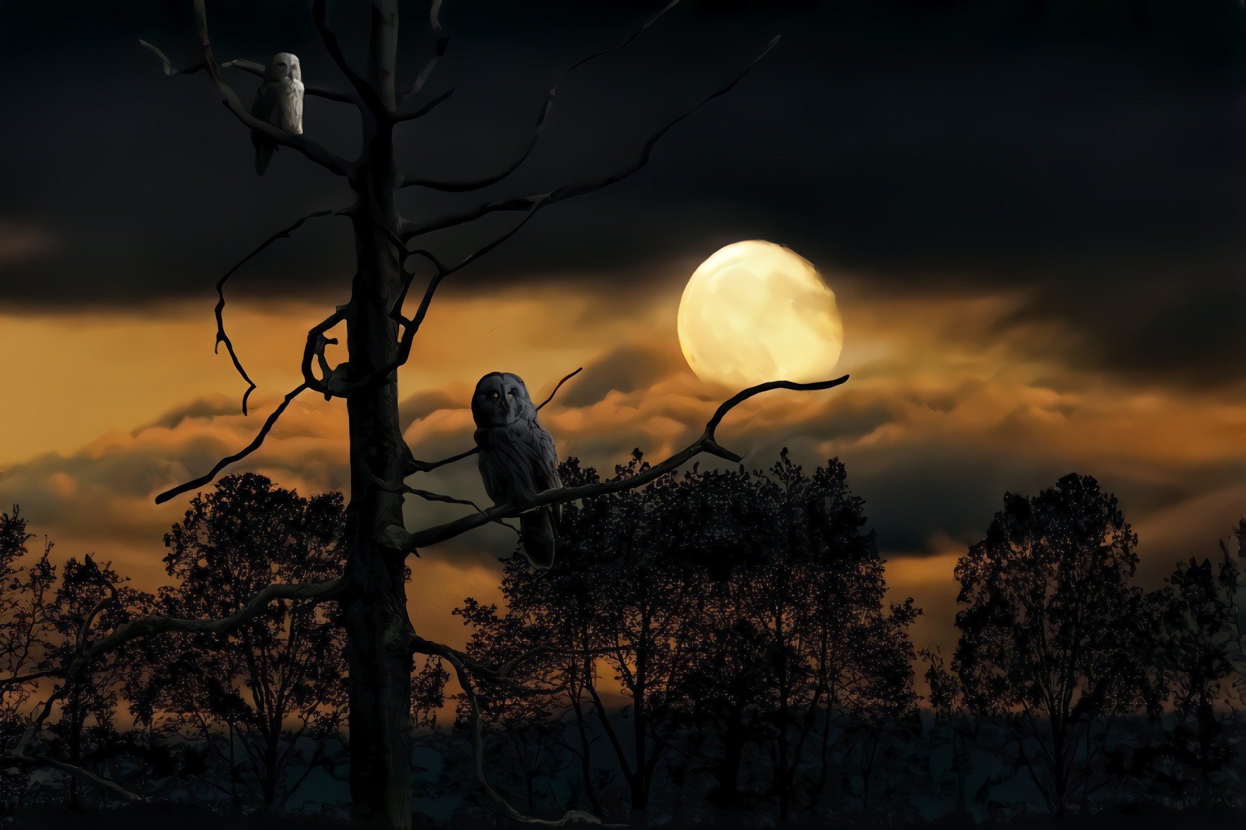 Owls, Moon, Night Sky