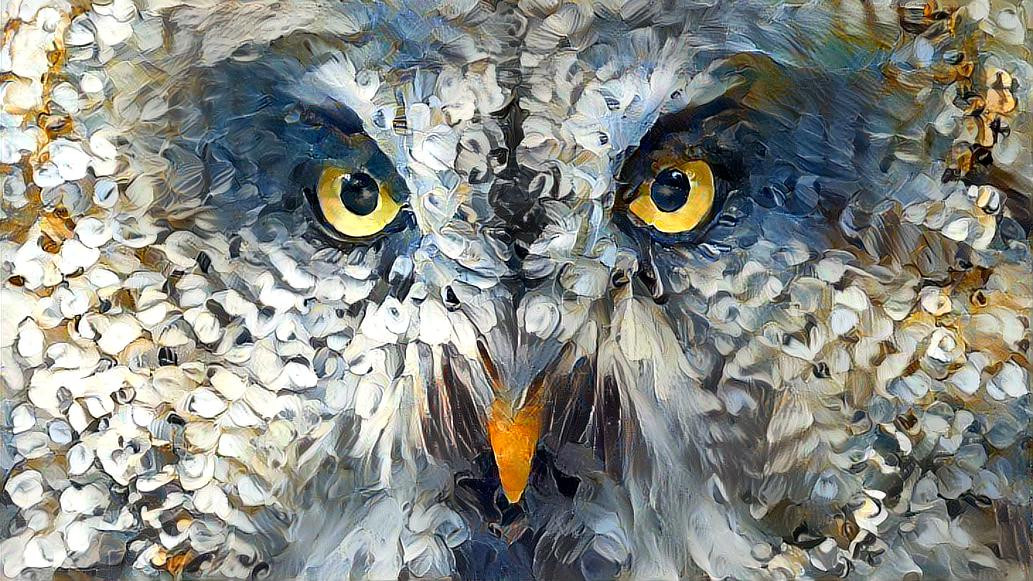 Deep Dream: Grey Owl (Ver.3) 