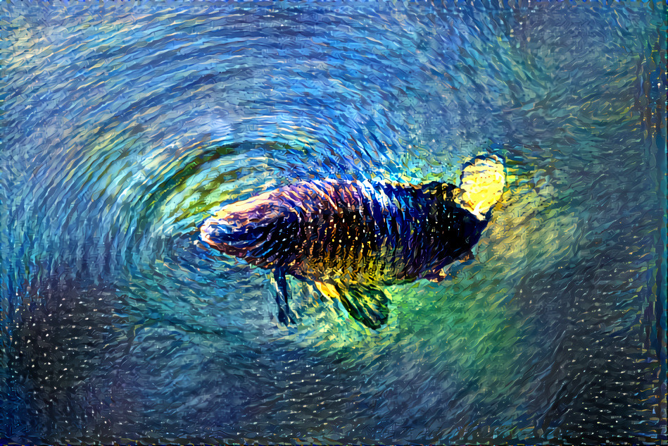 The fish - photo by me, Van Gogh style.