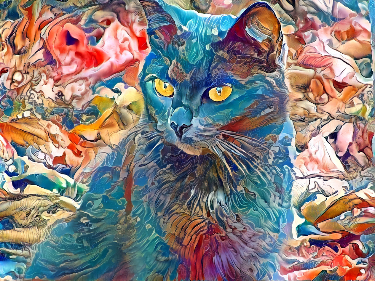 Another Cat