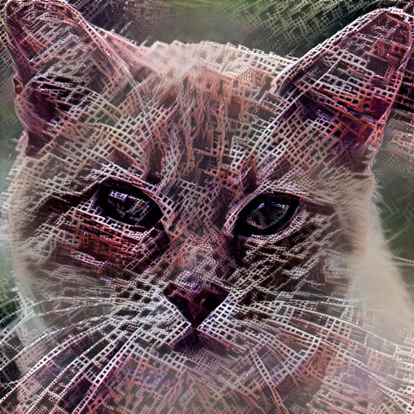 fractal cat