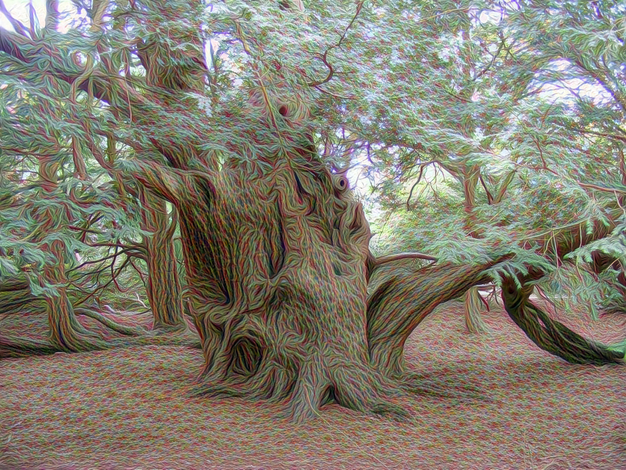 Yew Tree, Langley Park, England