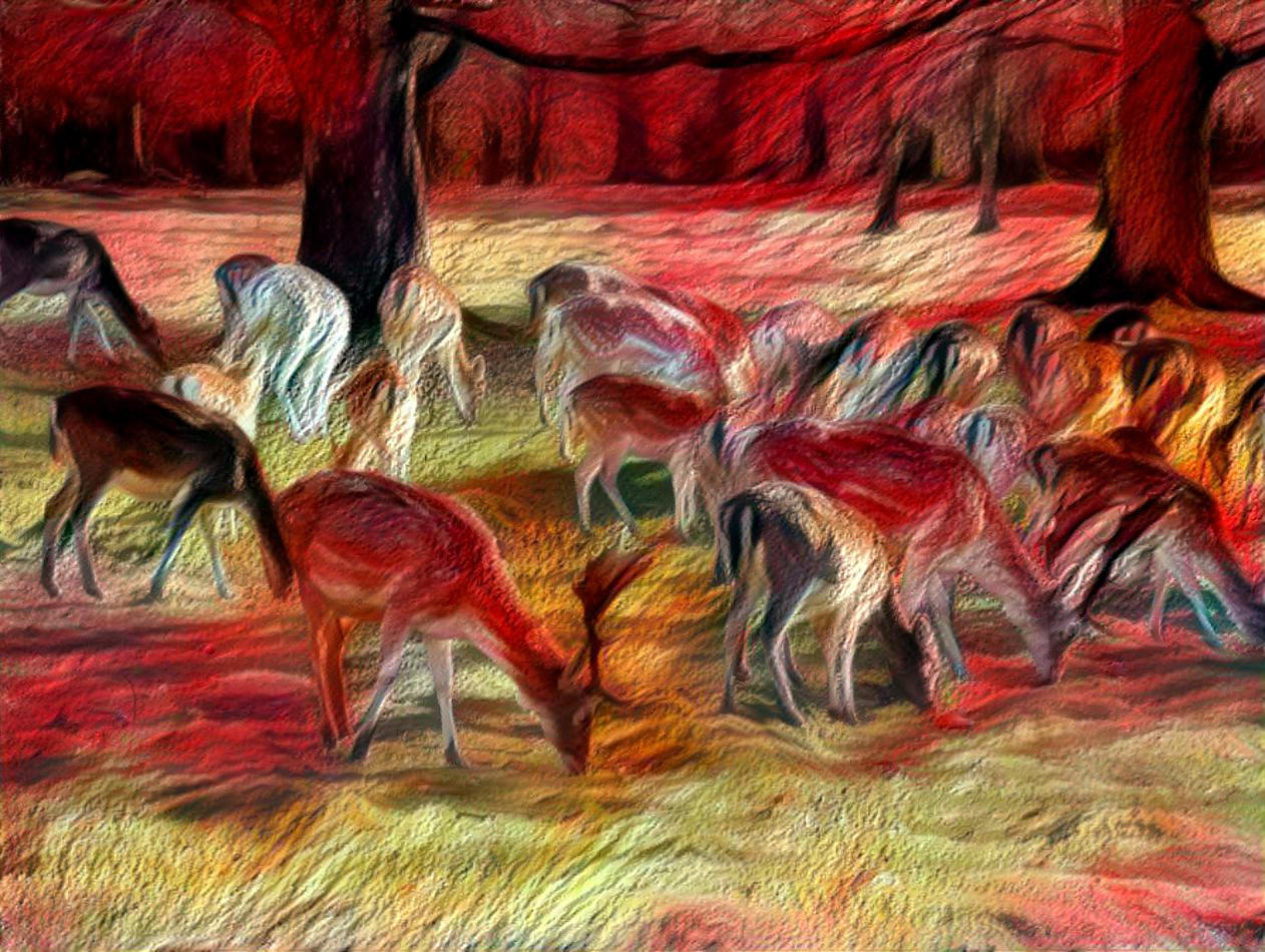 Deer at Hackwood Park (1/2/2022)