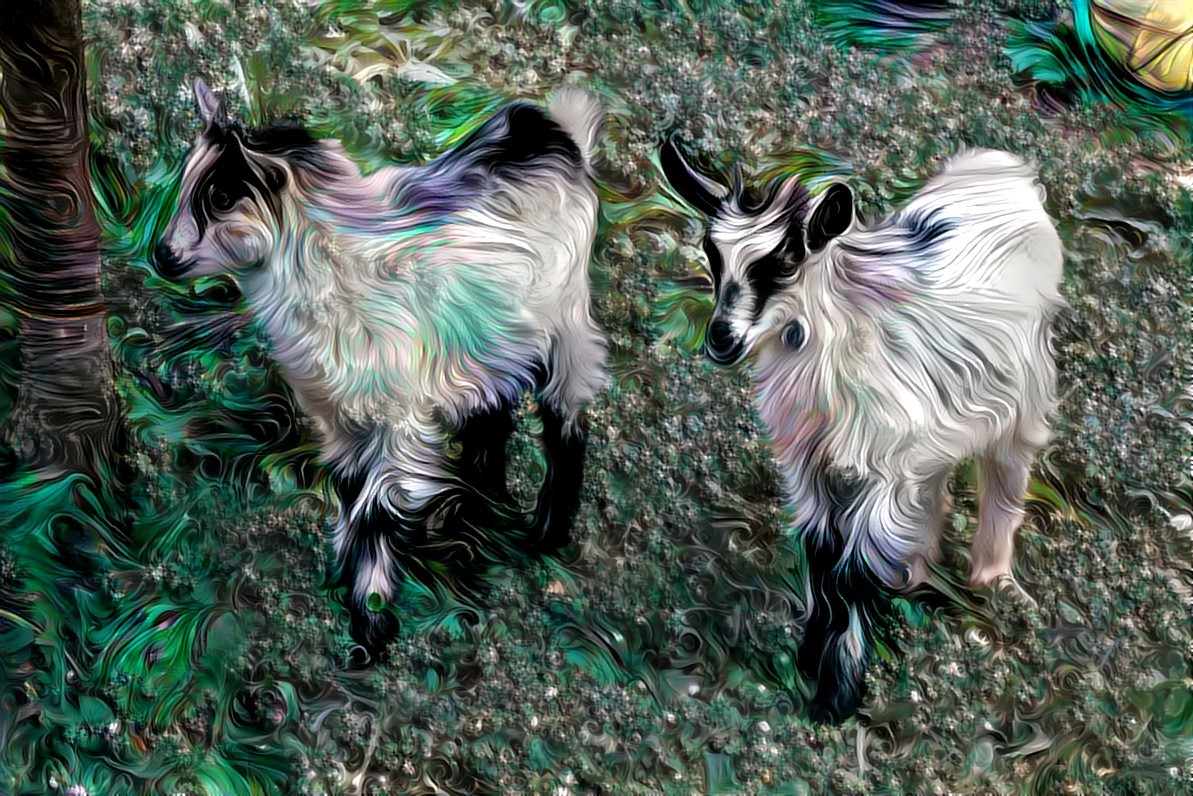 Violetta's goats 1 frax 383