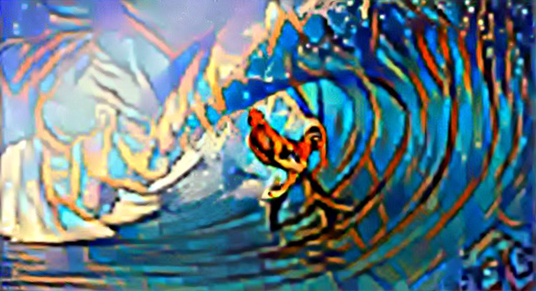 surfing rooster series