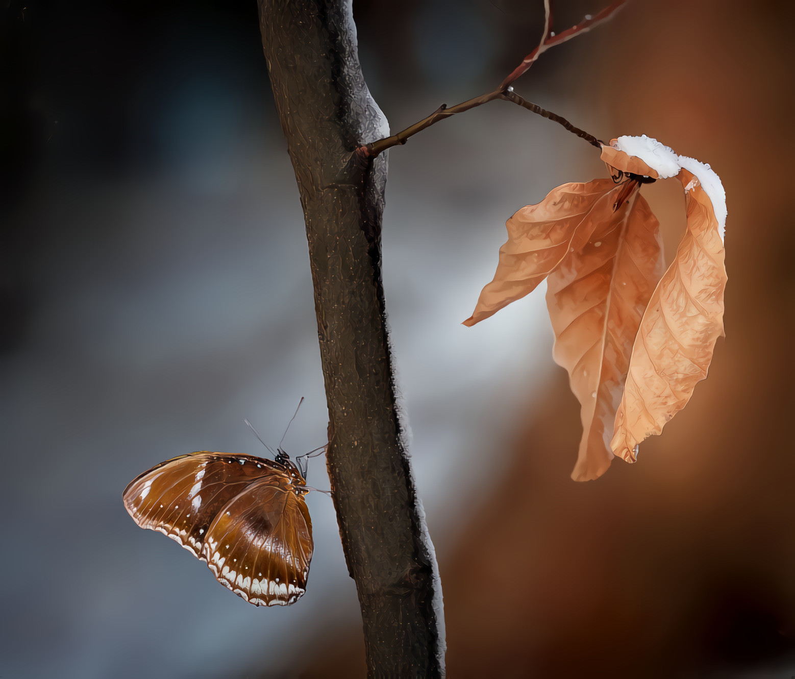 Butterfly, Branch, Leaf