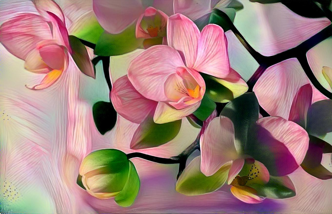 Pink magnolias