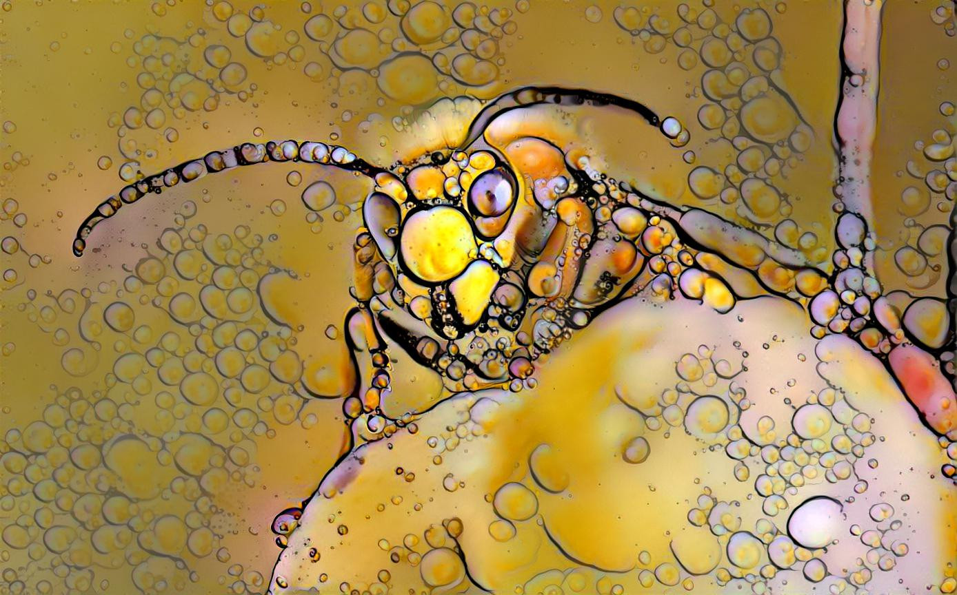 Bubbles bee