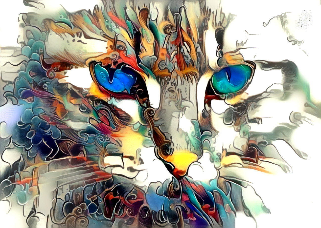 Abstracted Kitty