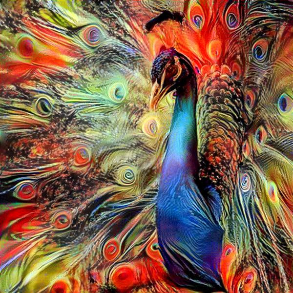   The peacock of fire