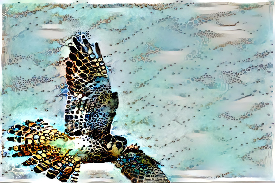 Kestrel soaring by my window + mixed media work by Amy Genser