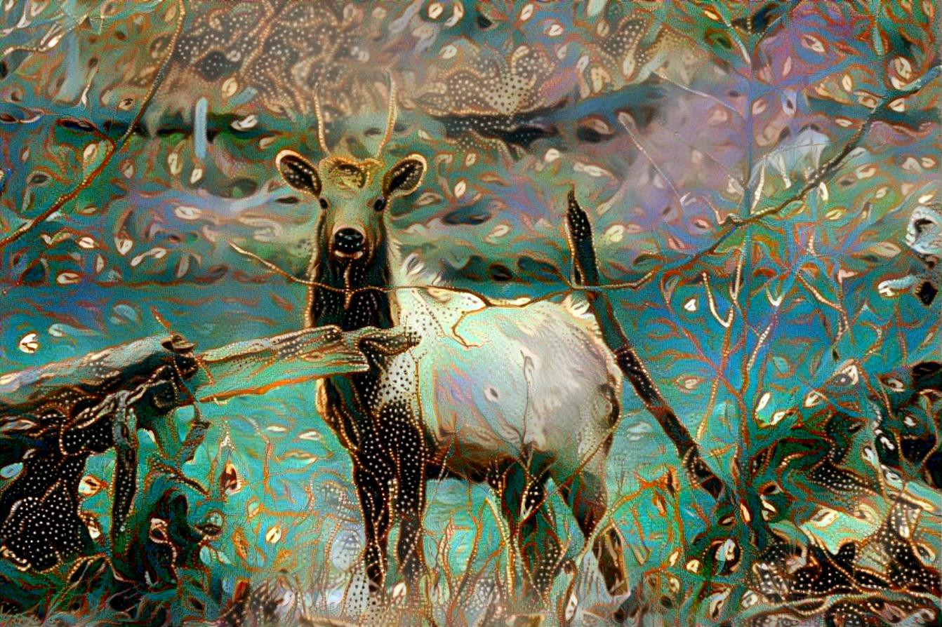 Elk on the Riverbank