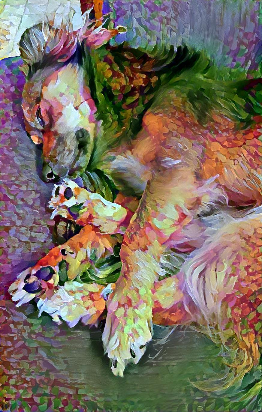Sleeping dog dreams of running through a Colorful Field of flow(ers)
