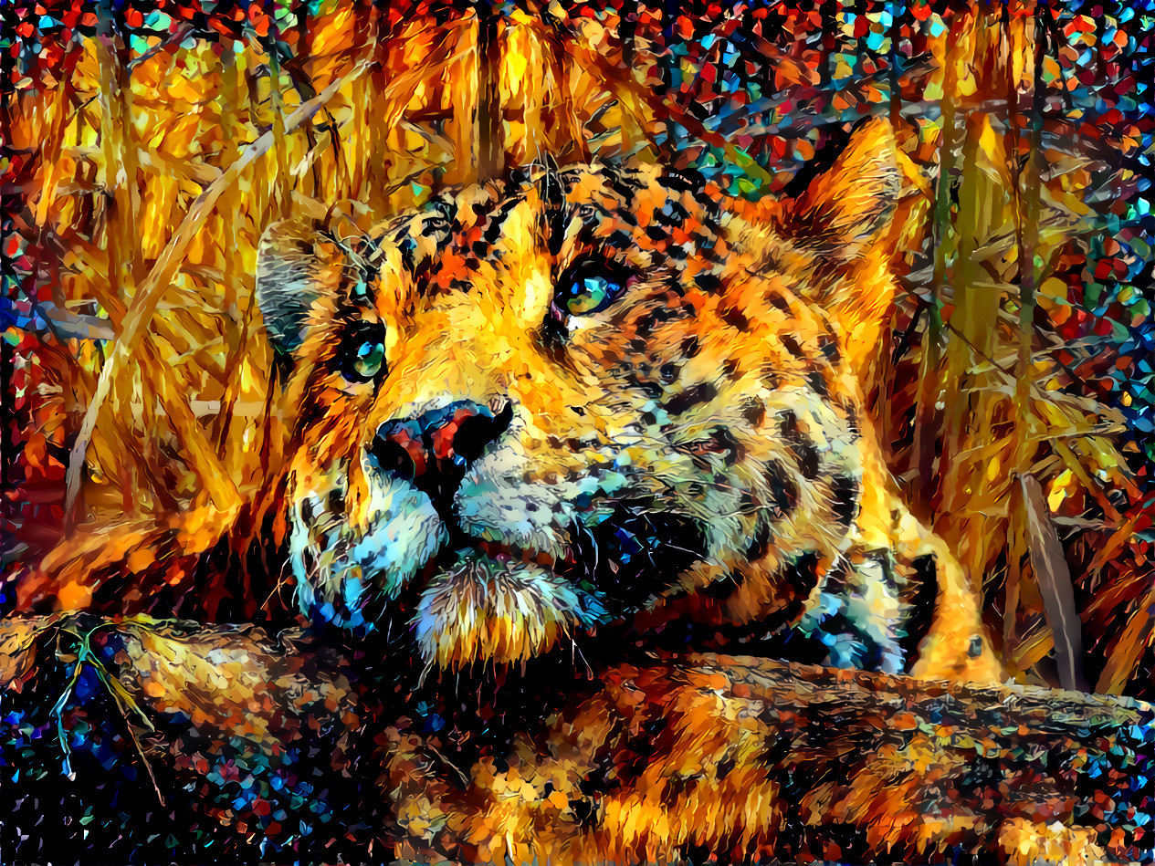 This leopard uses its spots to help it hide in the bush ~ Janis Diamond / Style by Artist Afremov Leonid