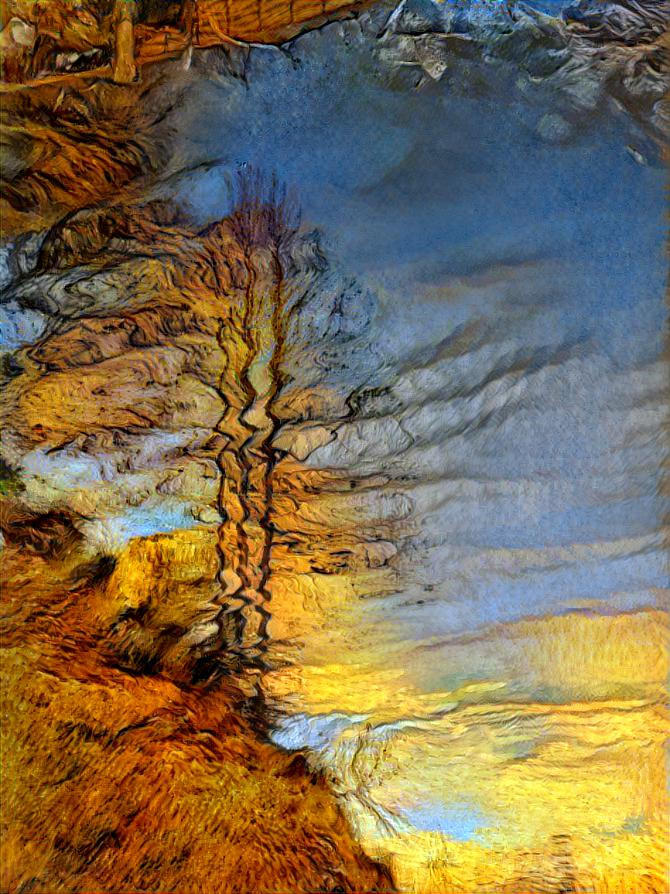 Reflection of Fir Tree in Lake Atagahi