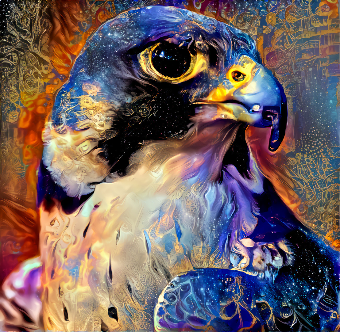 Peregrine Falcon ( Сапсан )