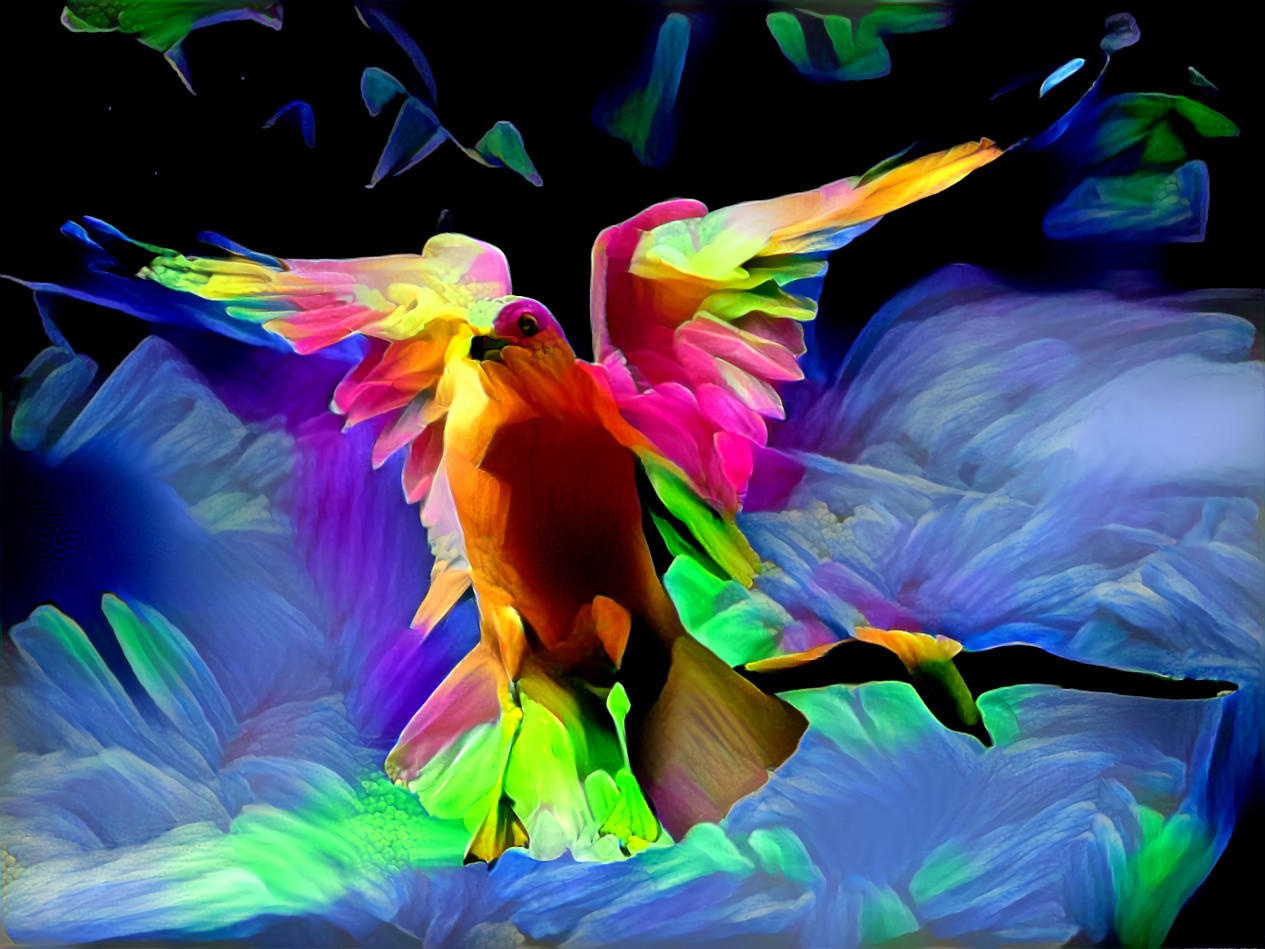 Rainbow Bird