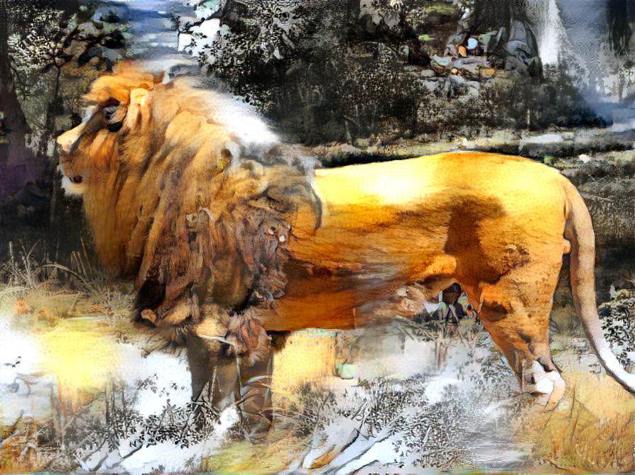 Lion at Binder Park Zoo