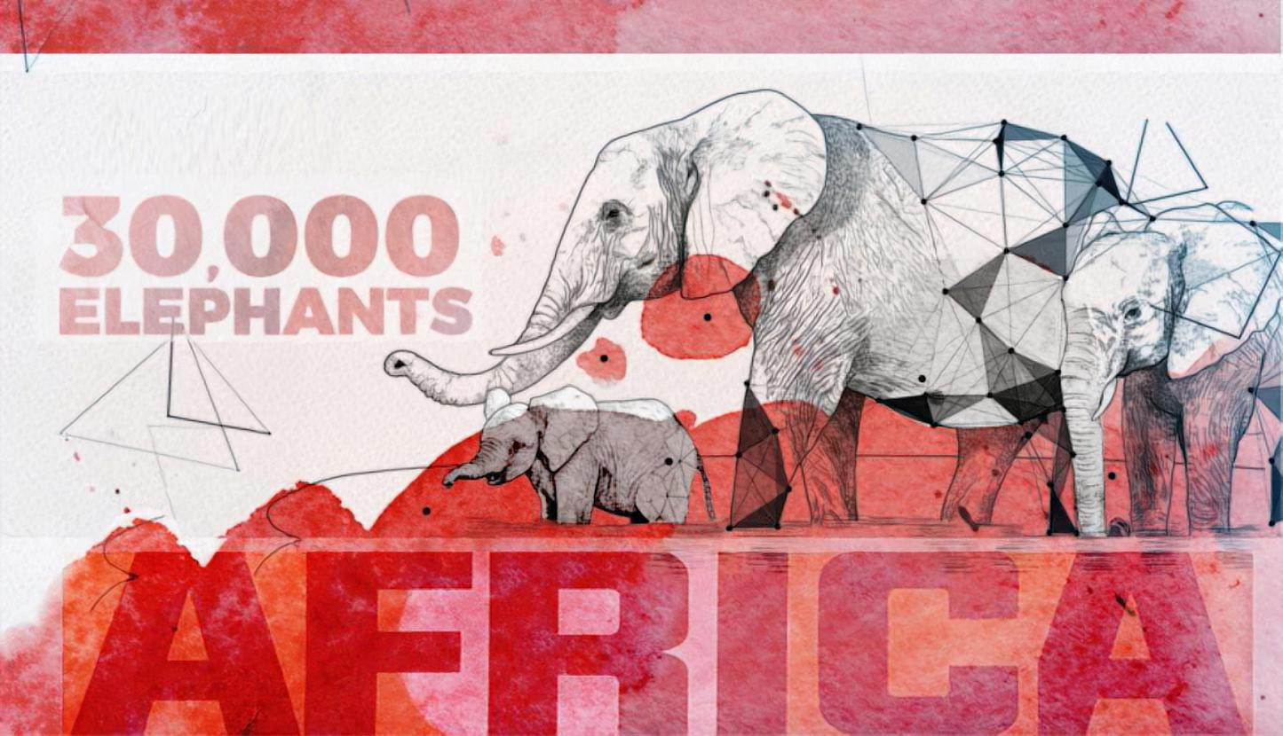 30,000 Elephants are poached every year ...