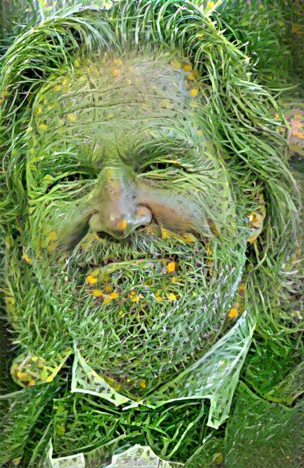 Jeff Bridges @ grass & daisies