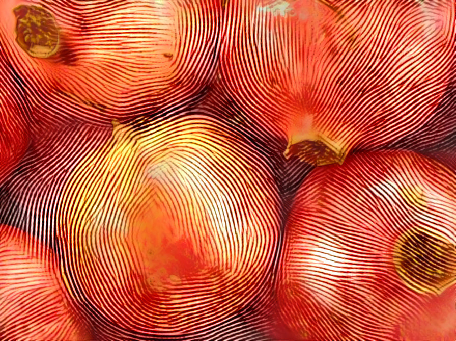 Punica granatum - Pomegranate #1
