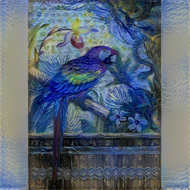 starry macaw