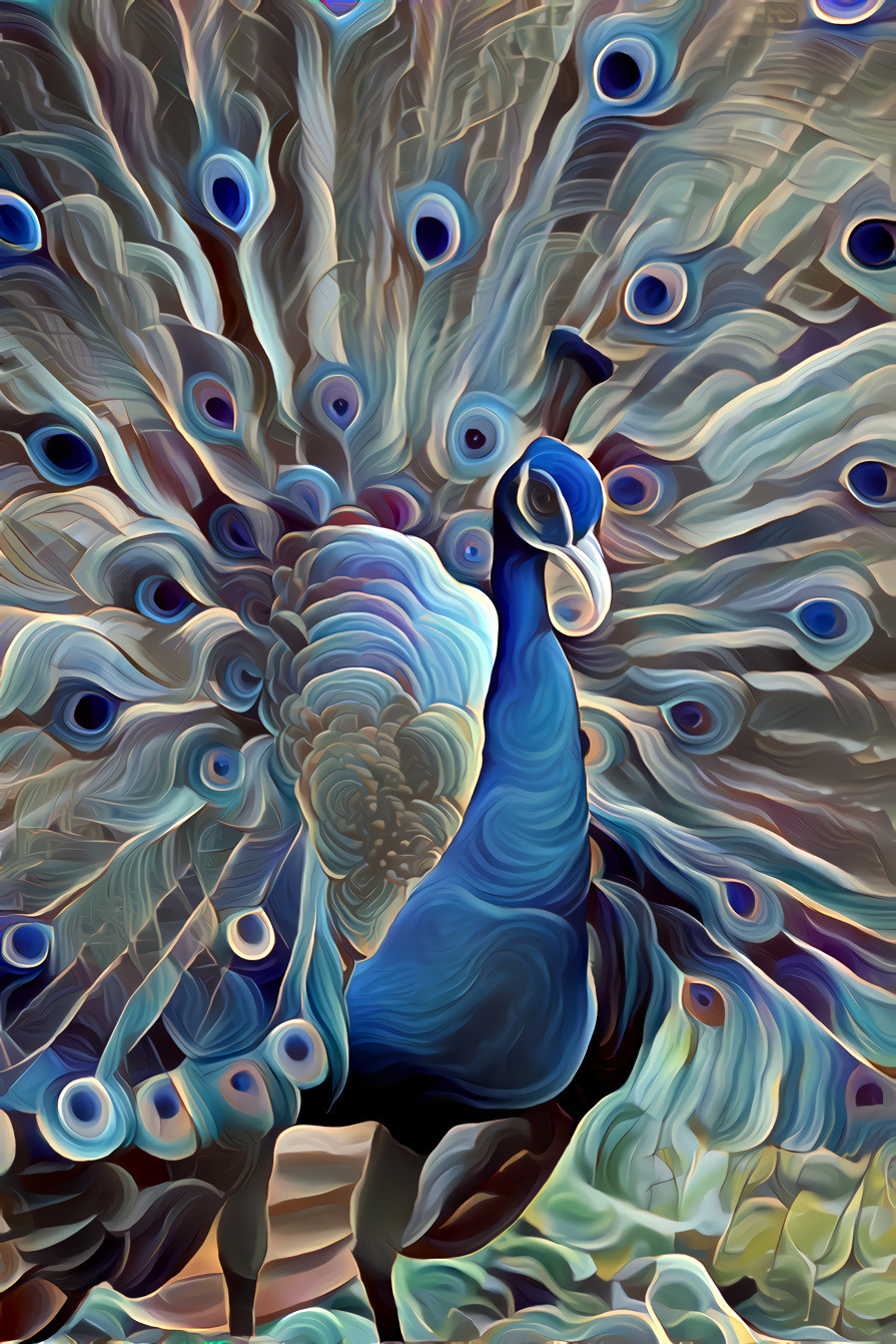 Abstract Peacock