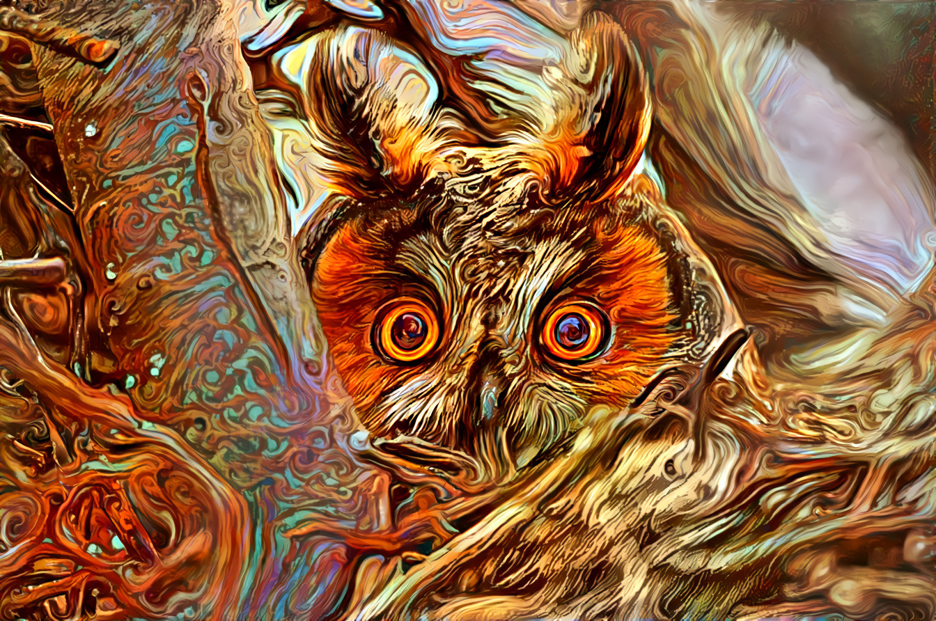 Trippy Owl