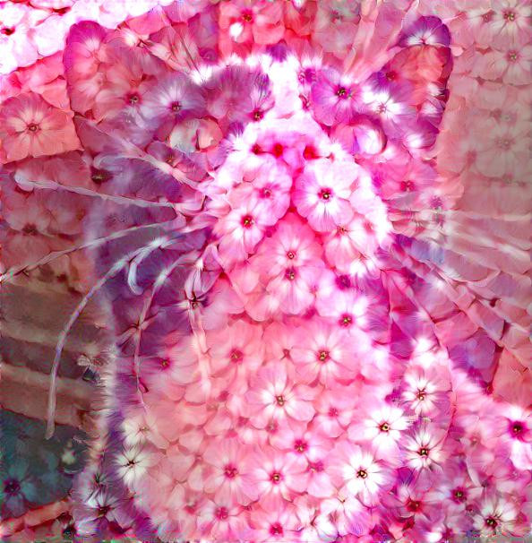 Pretty pink petal pussycat