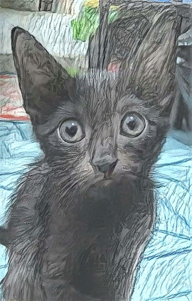 Void Kitten Sketch