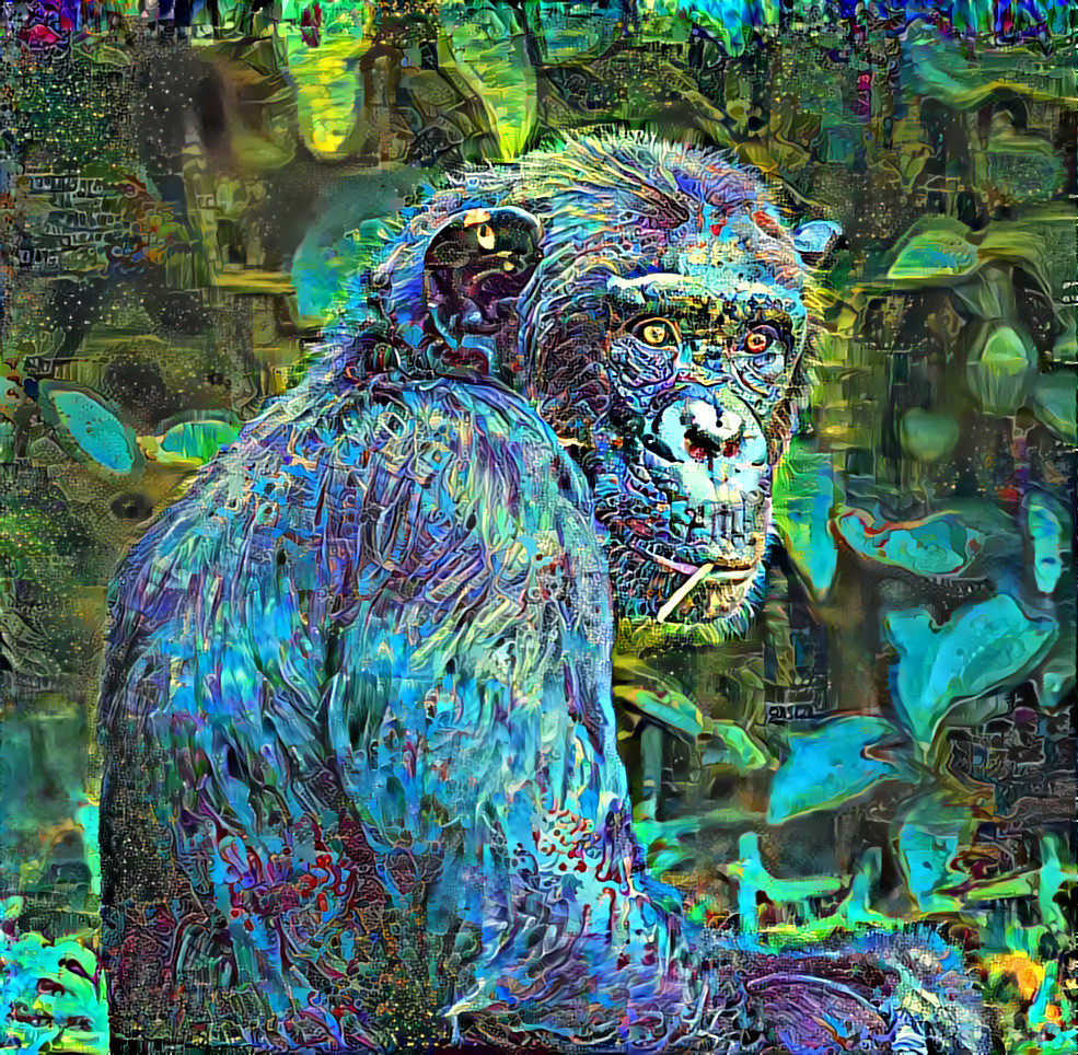 Chimp challenge collage 142
