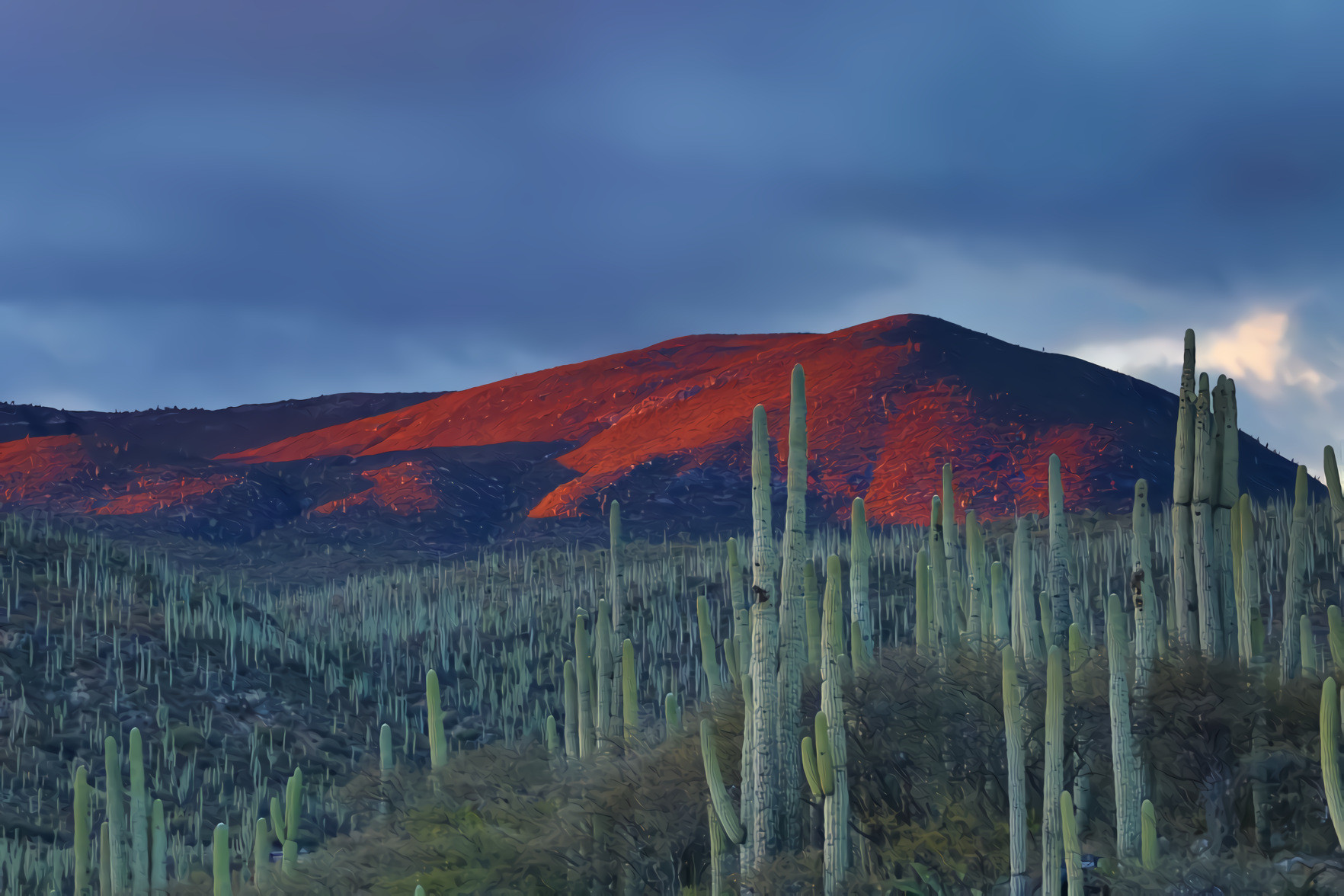 Mountains, Cactus