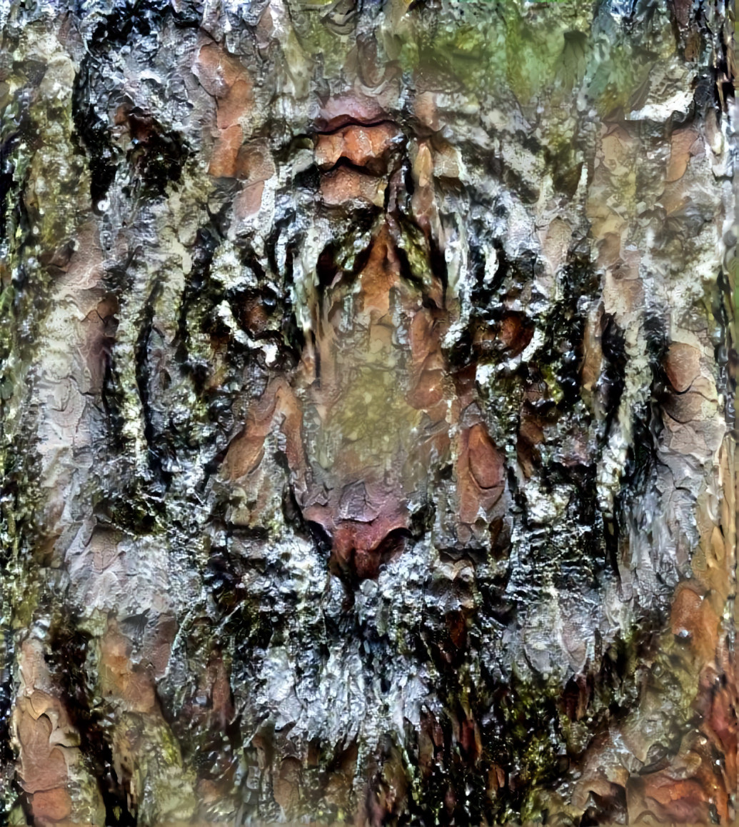 Tiger, hidden inside a tree.