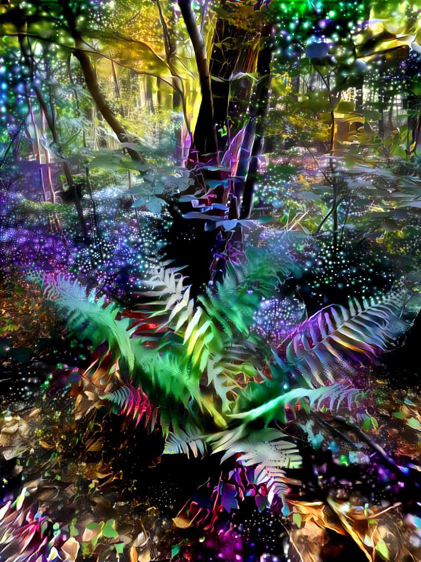Magical forest