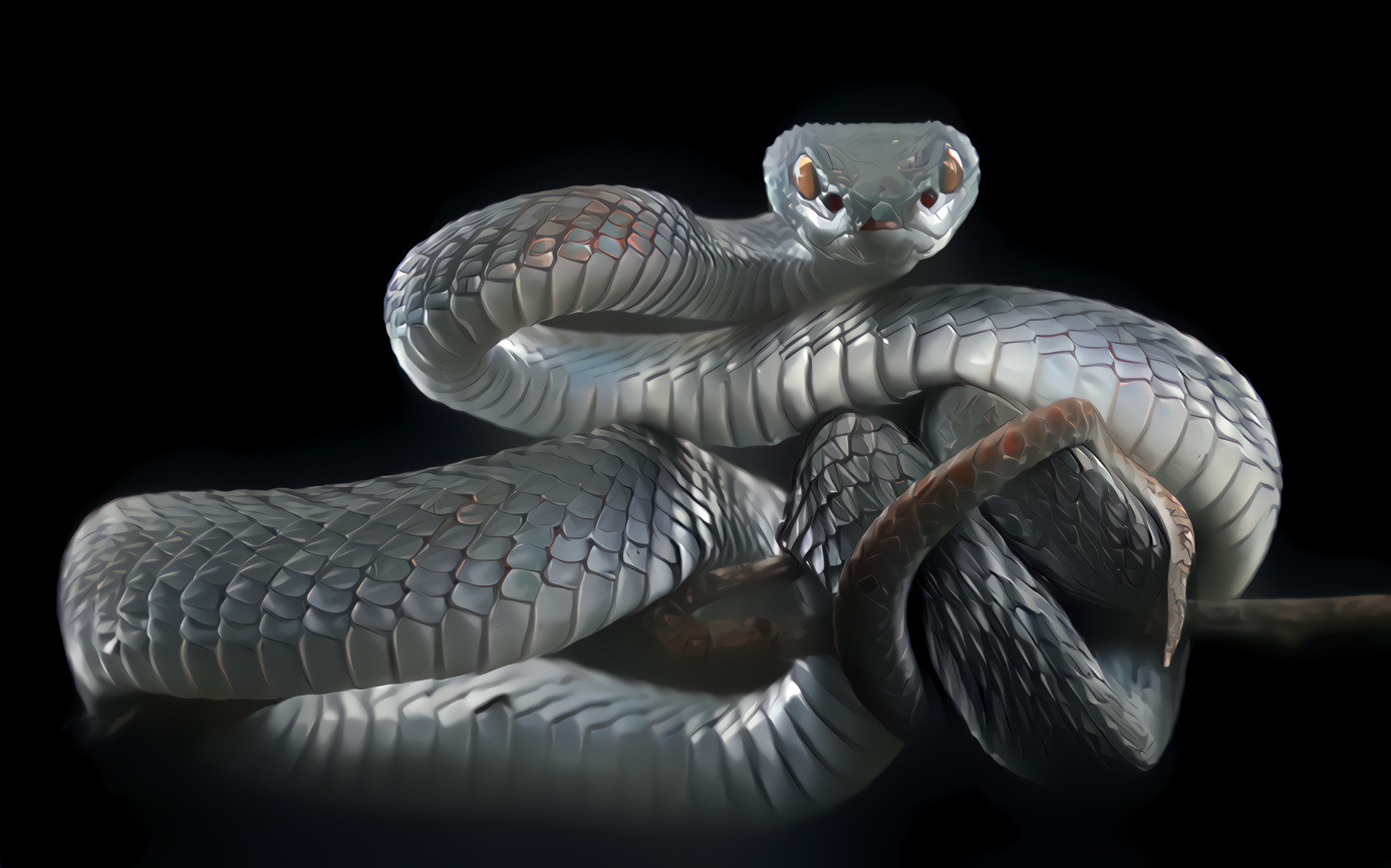 Silver Snake