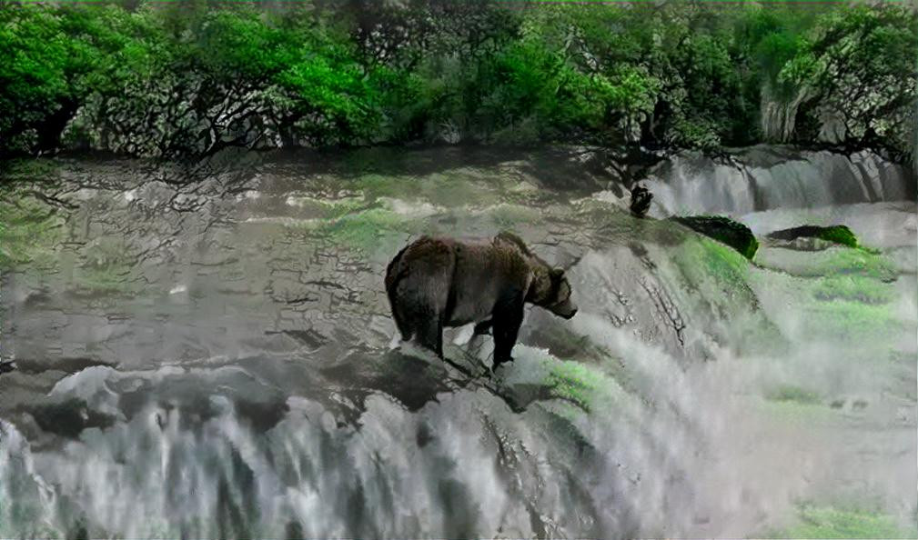 Bear at The Falls