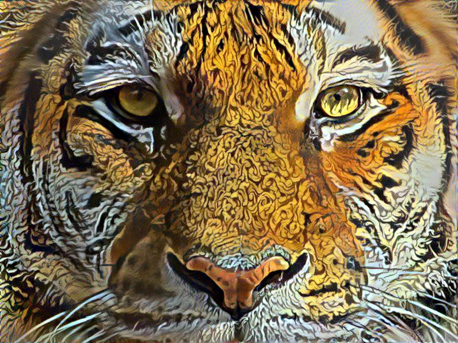 SP Tiger Portrait IV