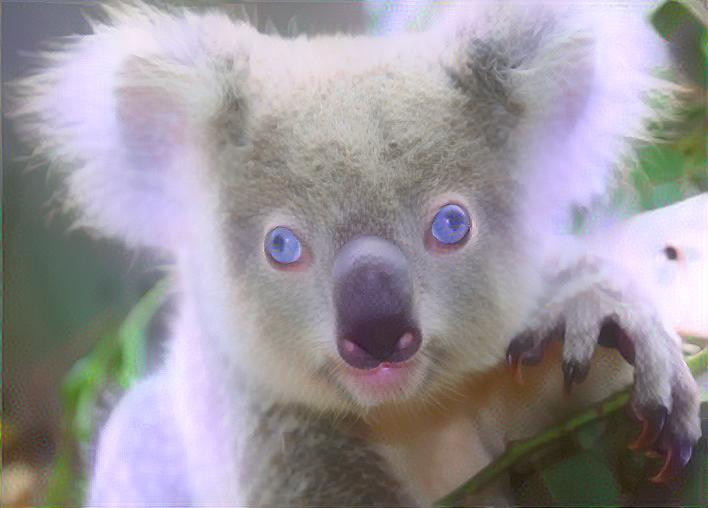 Legend of the Lavender Koala
