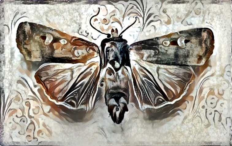 Would make a great cover for a Moth-er Day card!  March 14th is Moth-er Day every year.