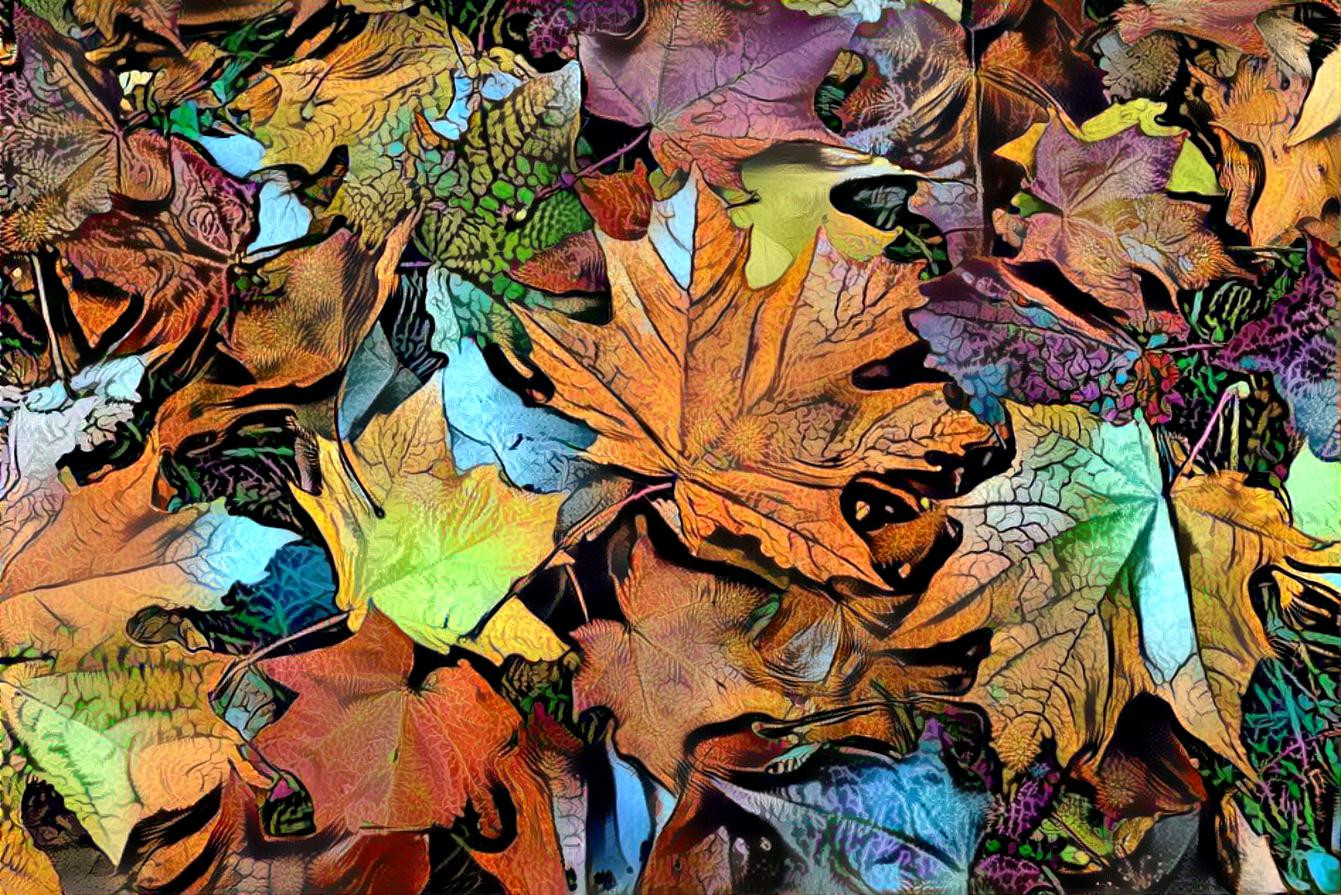 leaves fall