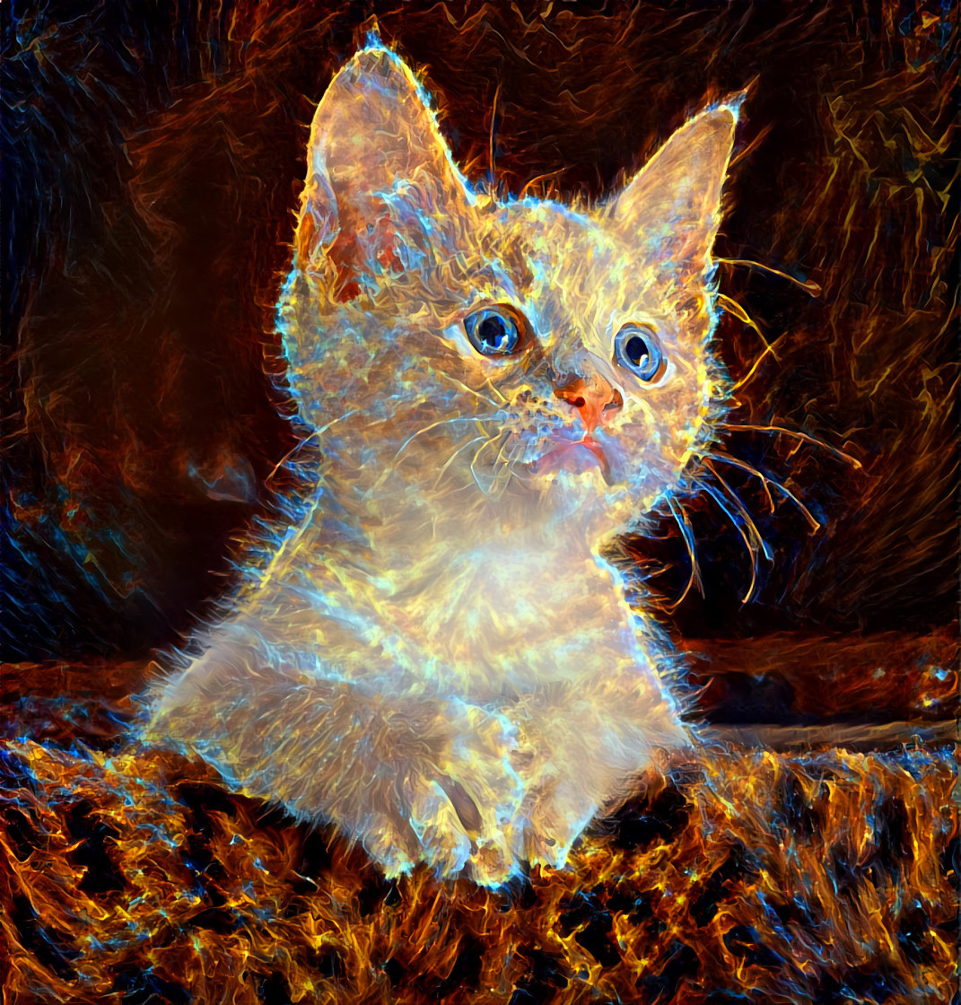 Sparkly Kitty [1.2MP]