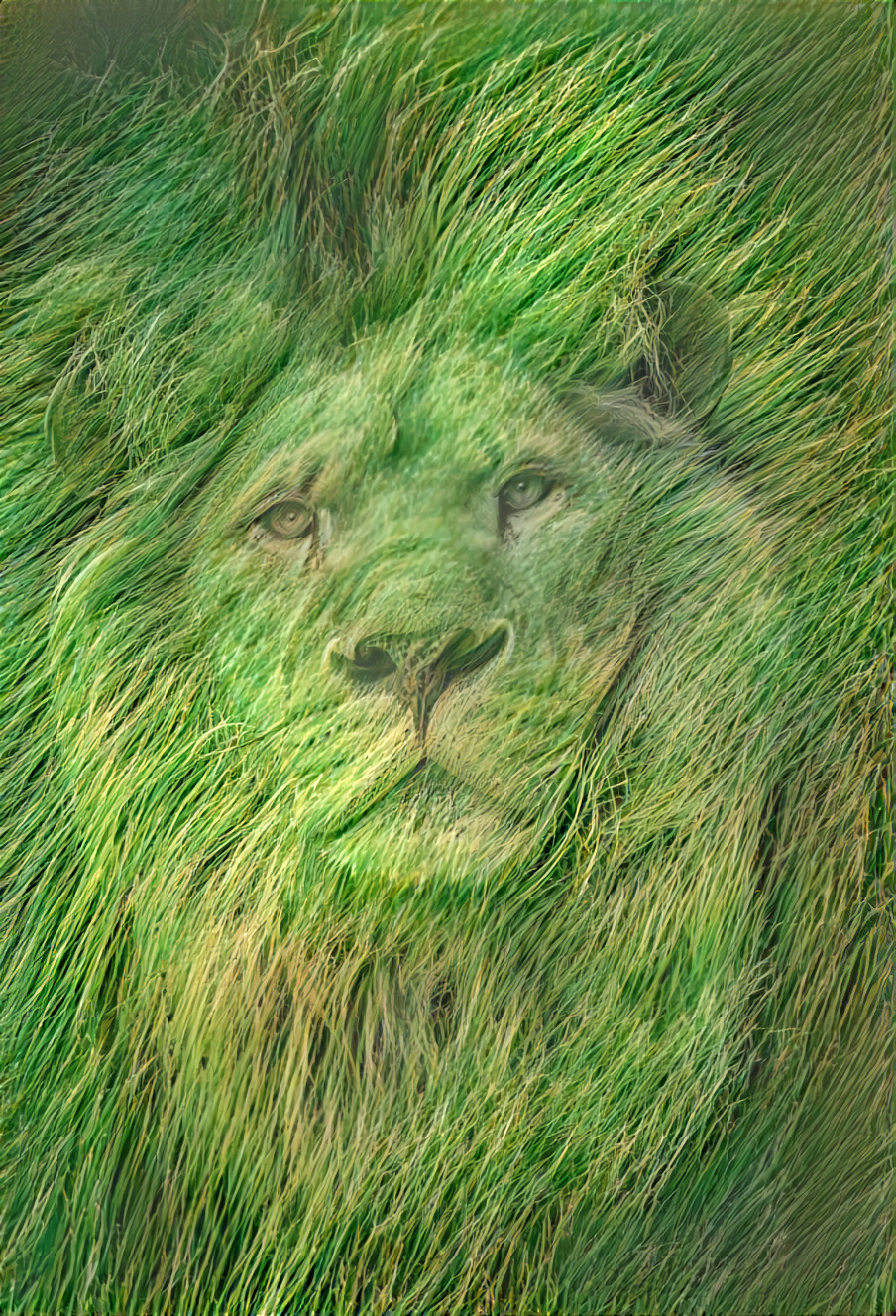 Lush Lion